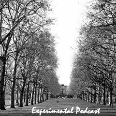 Experimental Podcast