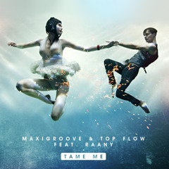 Maxigroove & Top Flow Feat. Raany - Tame Me (Preview)