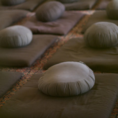 Meditation / Dharma Talks