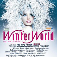 The Avener  - Live @ WinterWorld 2015