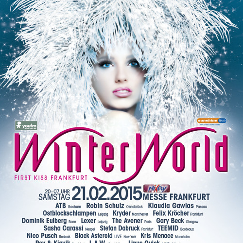 The Avener  - Live @ WinterWorld 2015