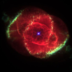 05 Eyes Of The World- Stella Blue