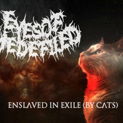 Eyes Of The Defiled Guest Solo