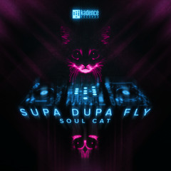 OUT NOW Soul Cat - Supa Dupa Fly (Origianl Mix)