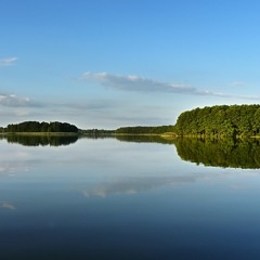 Sibelius Violinconcerto Movement 1 Excerpt