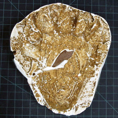 Possible orang pendek vocalization