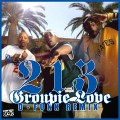 213 - Groupie Love D - Funk Remix