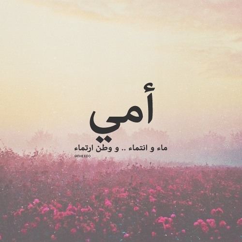 إليك  يا أمي .. ياصاحبة النبع الصافي