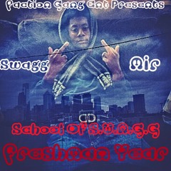 Swagg Mir- Lie To Me