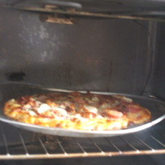 2015 Spiderdactyl Hype Sample