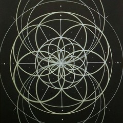 Pole - Pferd (Melchior Productions Zodiac Mix)