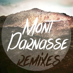 Francis Cabrel - La Corrida (Mont-Parnasse Remix)
