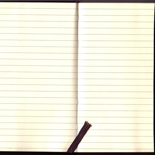 Moleskin Conclusion
