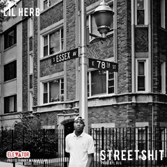 Lil Herb - Windy City Shit
