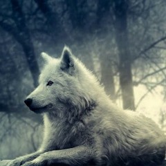 Hudant -  Karna kau aku disini