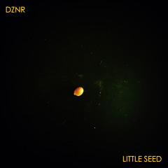 Little Seed