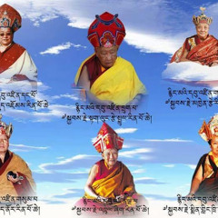 gurma8