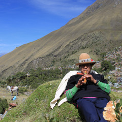 peruansk flöjtmusik