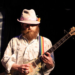 12 string Garage Blues V