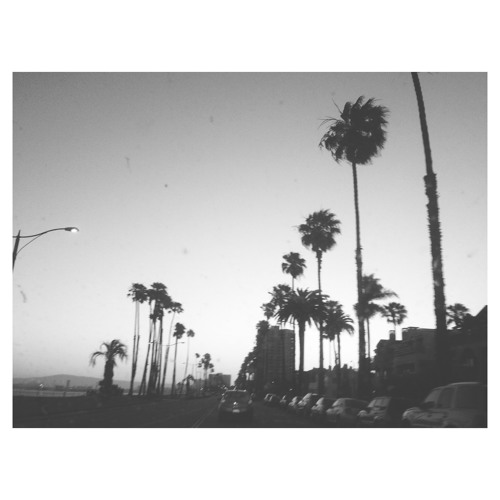 Suffix - Come With Us