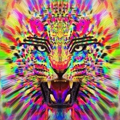 Joris Voorn Ringo & Fedde Le Grand Where We Belong (mix)