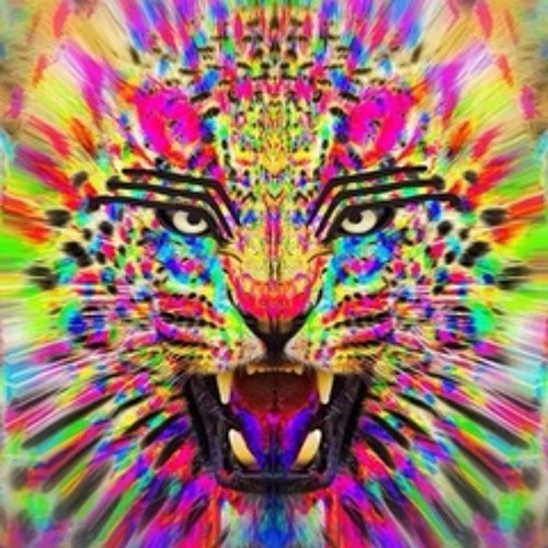 Joris Voorn Ringo & Fedde Le Grand Where We Belong (mix)