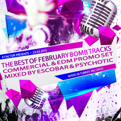 The Best Of February Bomb Tracks Commercial & EDM Promo @ Mixed By Escobar & Psychotic (23.02.2015)