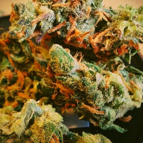 Трагедия Всей Жизни - Шапка 228