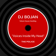 Voices Inside My -  Bojan