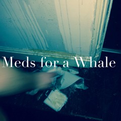 Meds For A Whale