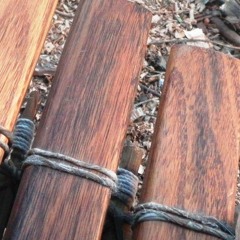 Balae - Rapae -Rodrigo Carazo