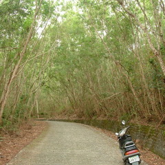 Don't worry, everything gonna be all right...