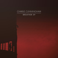 04 Charlie Cunningham - Own Speed