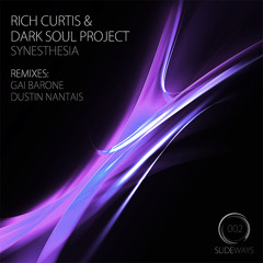 Rich Curtis & Dark Soul Project - Synesthesia (Gai Barone Son Of Duke Remix) Sample