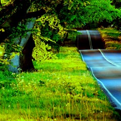 Yzzy - Wavy Ride [ Prod. By Martin N. ]