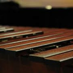 Stages of Rage (WMU Symphony Orchestra Reading)