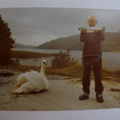 Duke of Honks Hurricane