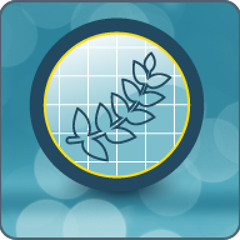 M&E 1.9 - Key Questions When Planning A Strategy