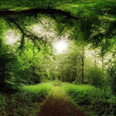 Salafi Advice During Times of Trials & Tribulation Pt.3 By Amin Manning