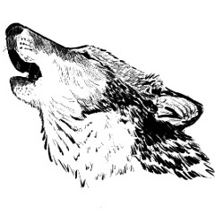 SFX - Worg Howl 8