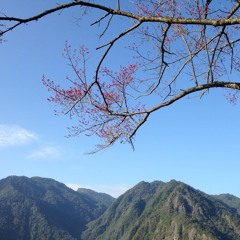 Smangus 司馬庫斯