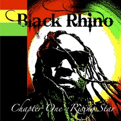 Black Rhino - Link Me Back