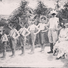 my owner got me high