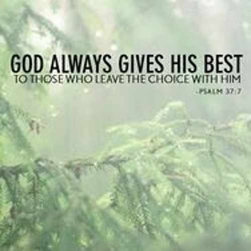 The Best Choice! - 50th-53rd Term of FTTMa