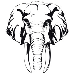 Funk4Mation - Lights (Original Mix) Download Free