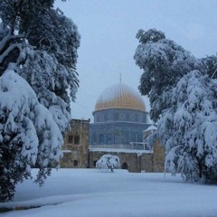 زهرة المدائن