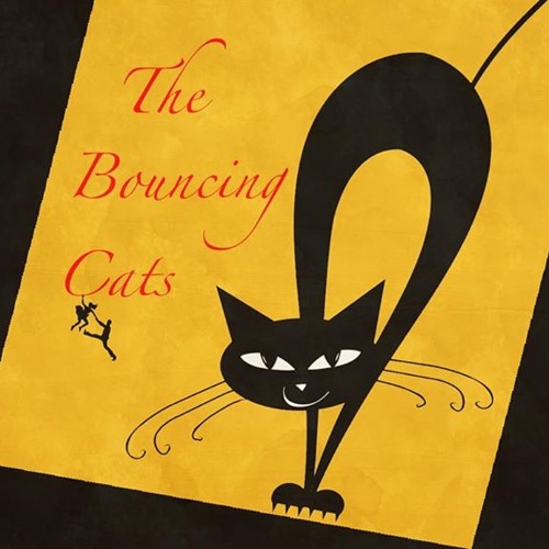Bouncing Cats - Live @ JCT
