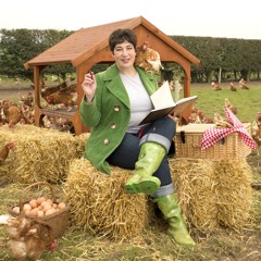 Chick Lit 2 - The Reluctant Rooster Audiobook