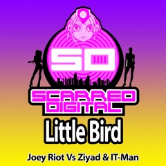 SD073 : Joey Riot vs Ziyad & IT-Man - Little Bird. Release 18/03/2015