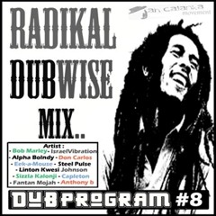 Radikal Dubwise mix (By Dub Program #8)